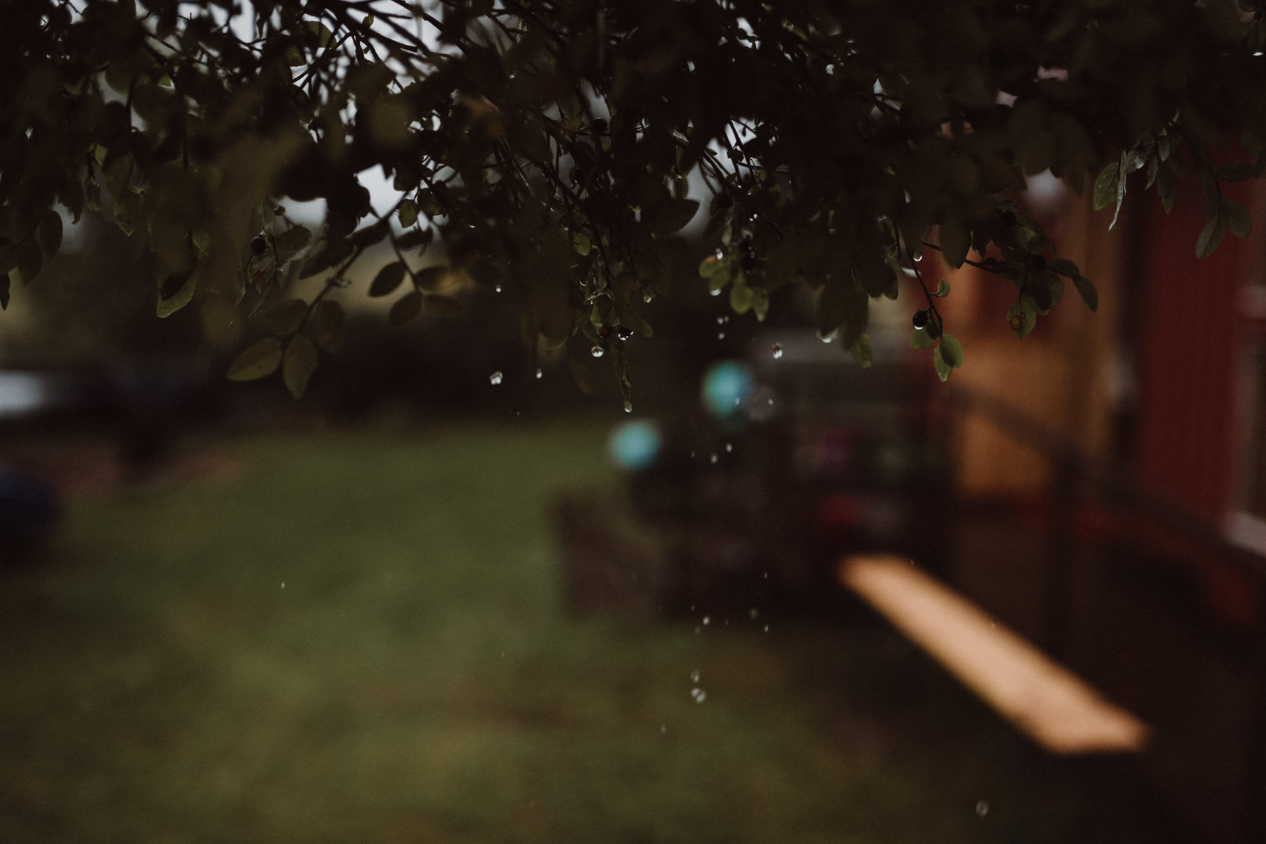 puutarhahaat-riihimaki-garden-wedding-53