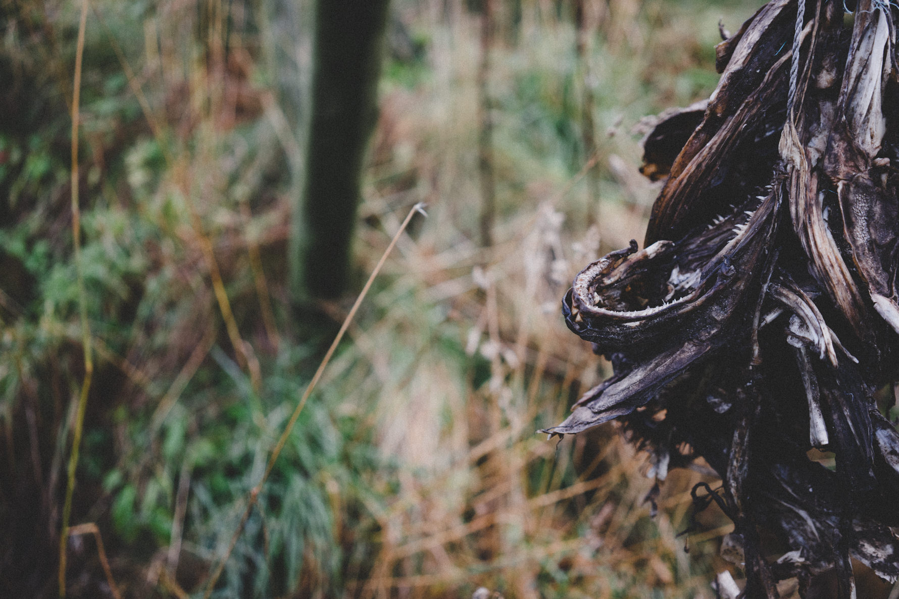 hiking-lofoten-norway-51