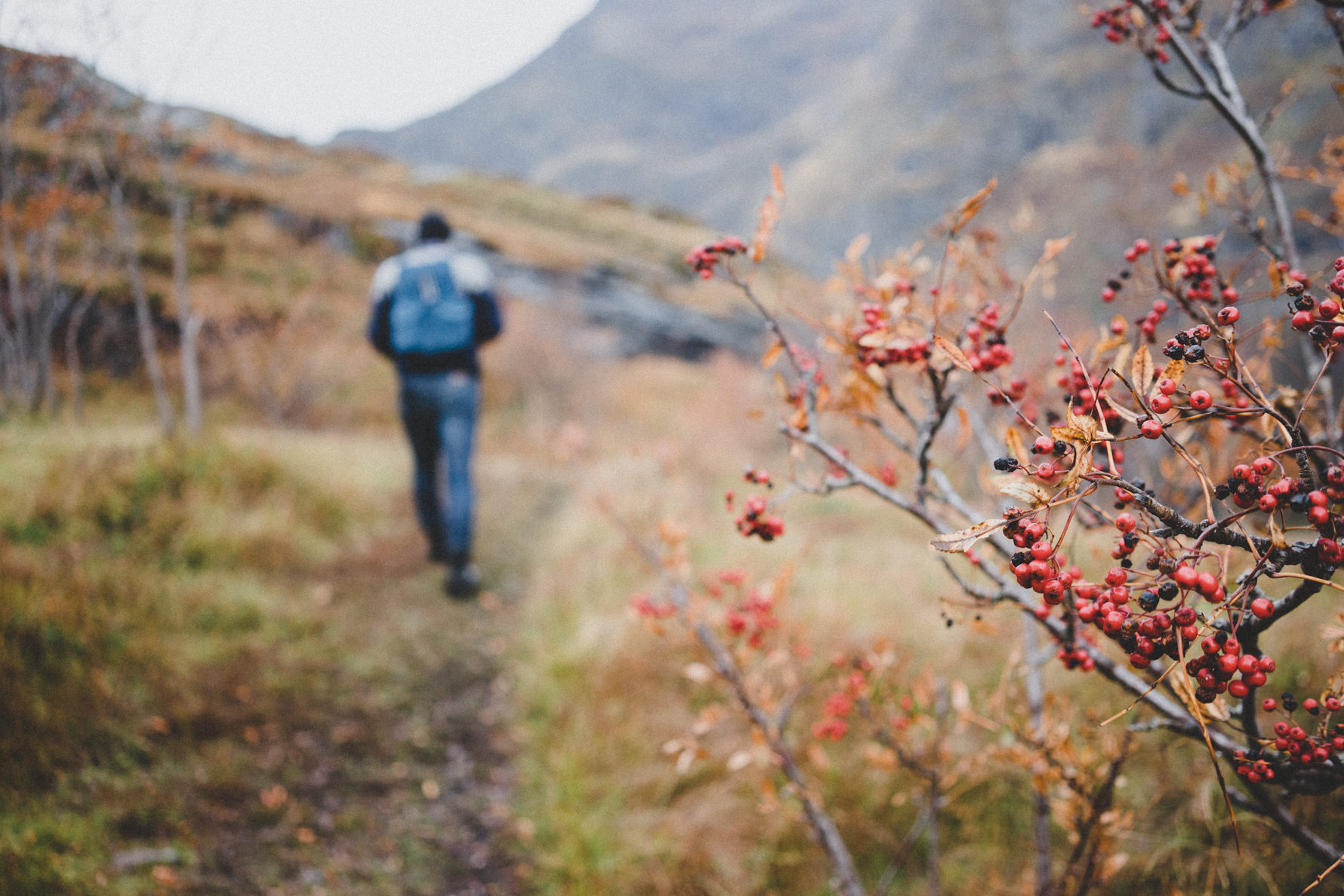 hiking-lofoten-norway-52